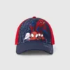 Rabity boys hat/cap 671,502